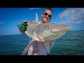 BlackTip SHARK + Pompano {Catch Clean Cook} Epic Birthday Party Taste Test!