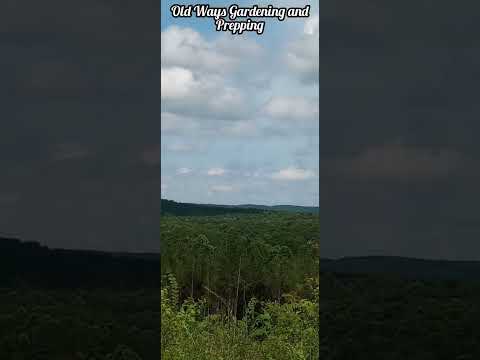 View From A Appalachian Mountain Top