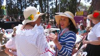 ROMERÍA DIVINA PASTORA 2026