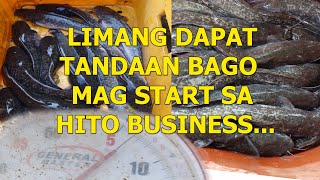 LIMANG DAPAT TANDAAN BAGO MAG START SA HITO BUSINESS | BACKYARD CONCRETE POND