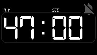 ⏰ TIMER 47 Minutes - Countdown - no Beep