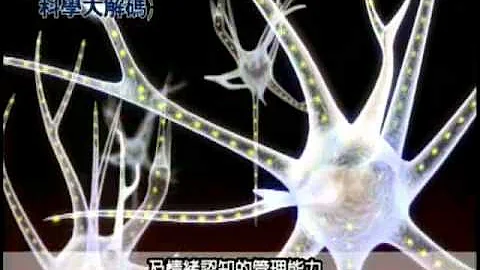 28. 酒醉的脑部状态 - 天天要闻