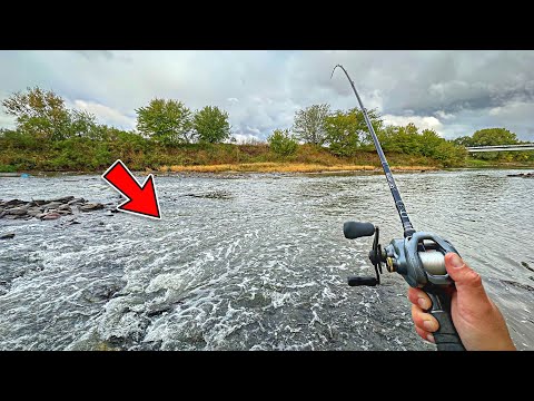 My Favorite Creek Spot Was Hiding A PREHISTORIC FISH!!! (It Scared Me)