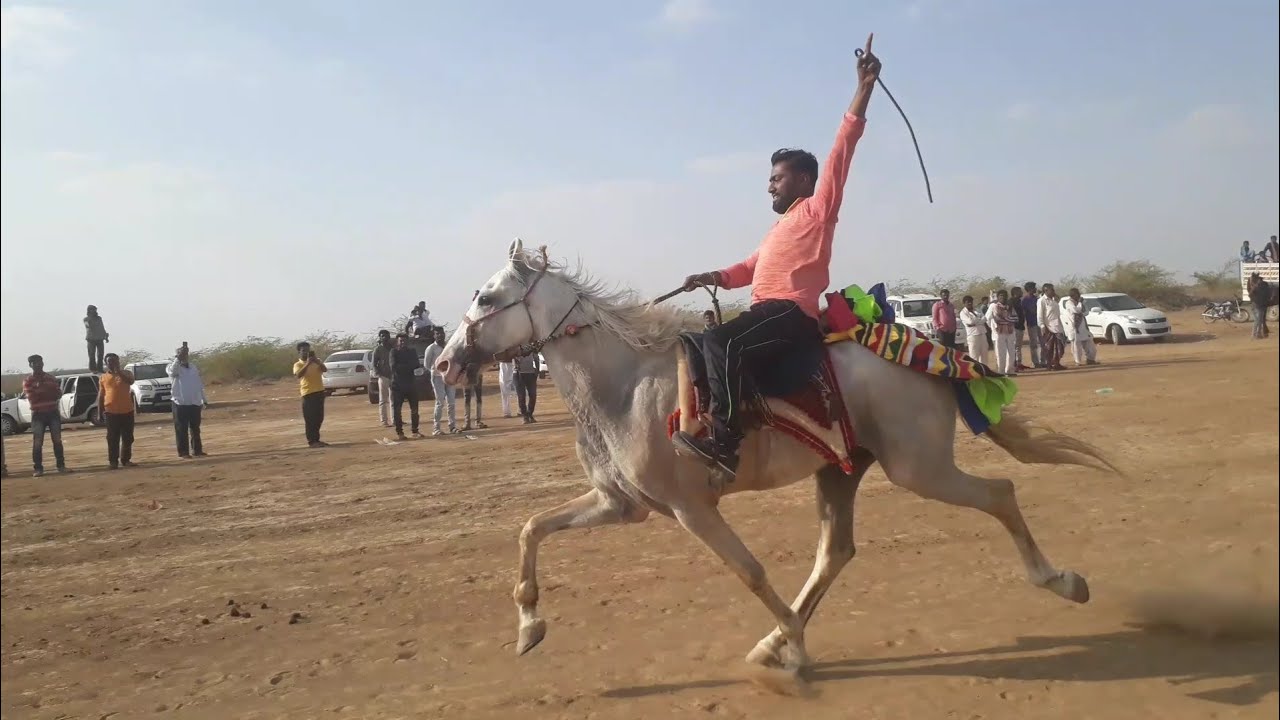 Kutch horse rewal chal racing in dhrang mekan dada 2019 | बड़ी रेवाल चाल रेस