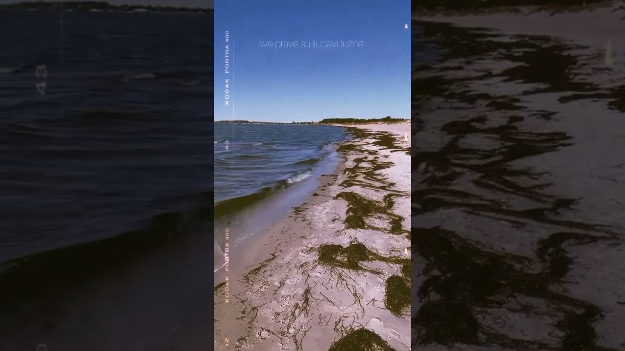..sve prave su ljubavi tužne.. 🌊