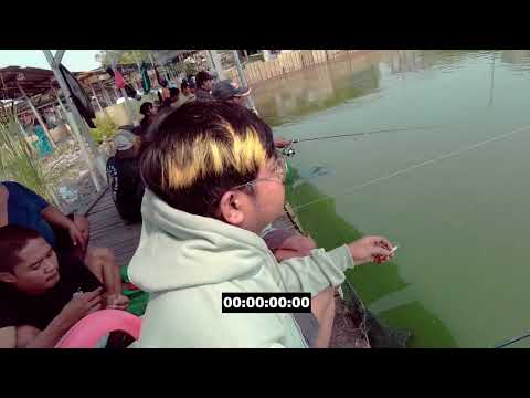 MANCING DI PEMANCINGAN H.ZUL (AGAM) SERU BANGET !!!!