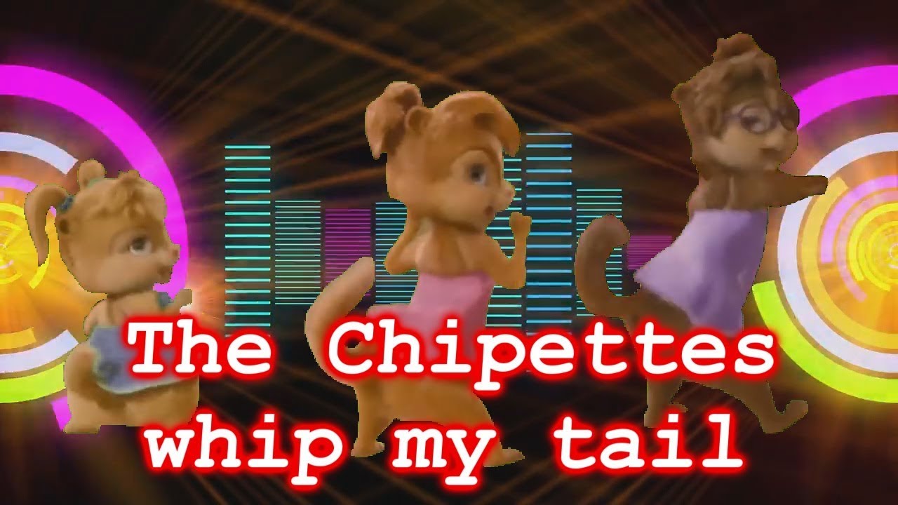 The chipettes  - whip my tail