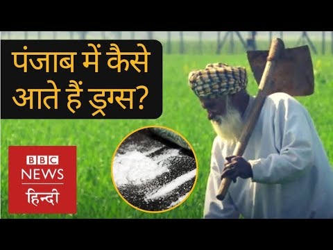 How Drugs are trafficked to Punjab? (BBC Hindi)