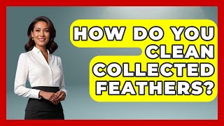 How Do You Clean Collected Feathers? - Bird Watching Diaries