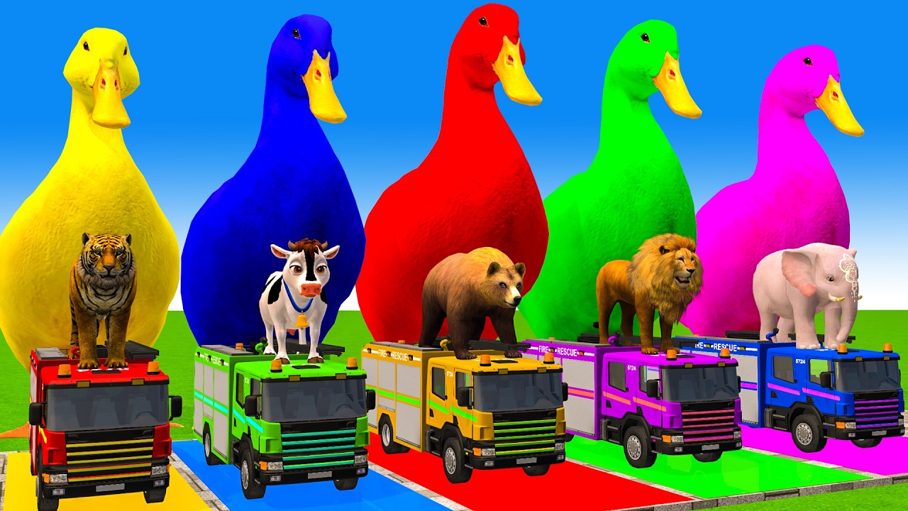 5 Giant Duck Cartoon,Cow,Elephant,Tiger,Lion,Dinosaur,Paint Wild Animals Crossing Fountain Animation