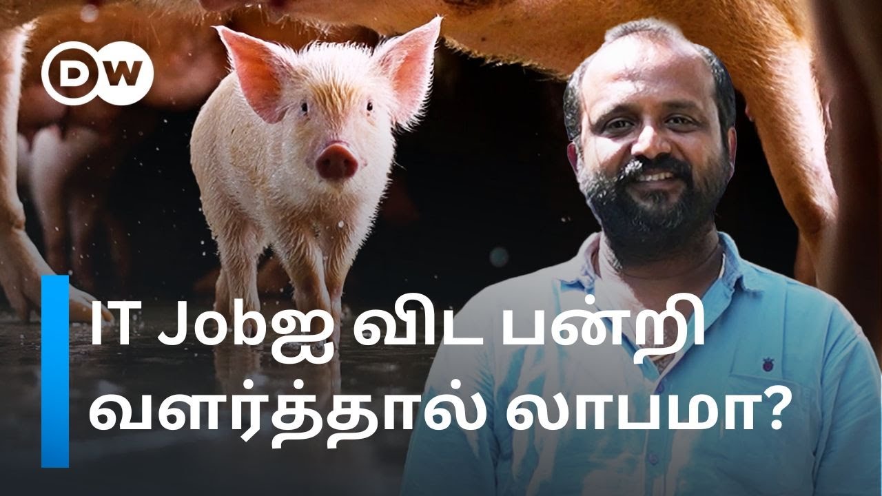 ”தமிழ்நாட்டில் Pork Meatக்கு Demand அதிகம்” - Pig Farming மூலம் Profit ஈட்டும் Tenkasi இளைஞர்