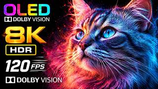 Wildlife in 8K Ultra HD – HDR Dolby Vision | 120FPS Cinematic Nature