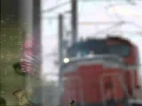 オリジナル演歌_♪旅路の赤い花_vc.wmv