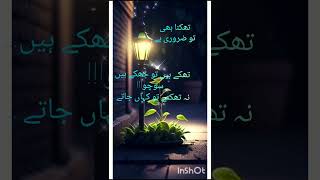 Download Lagu Thake hare dil💔kun faya kun#new Islamic tiktok vedio#status😇 MP3 Download Lagu Thake hare dil💔kun faya kun#new Islamic tiktok vedio#status😇 MP3