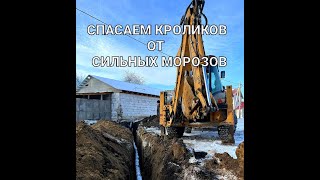 Спасаем кроликов от сильных морозов!