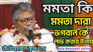 মমতা কি মমতা দারা ভগবানকে লাভ করার উপায়/শ্রী বিল্বমঙ্গল কৃষ্ণ দাস/netai media live