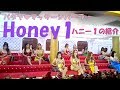 Pattaya Honey1 | タイのパタヤで宿泊したホテルとその後。その１
