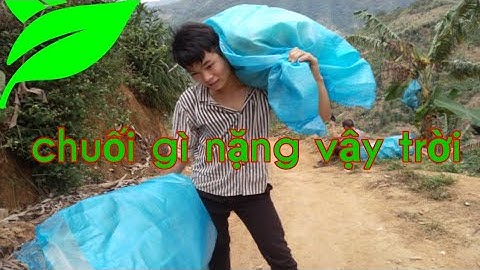 Vượt biên sang Trung Quốc bốc vác, kiếm tiền ăn tết.tập 1