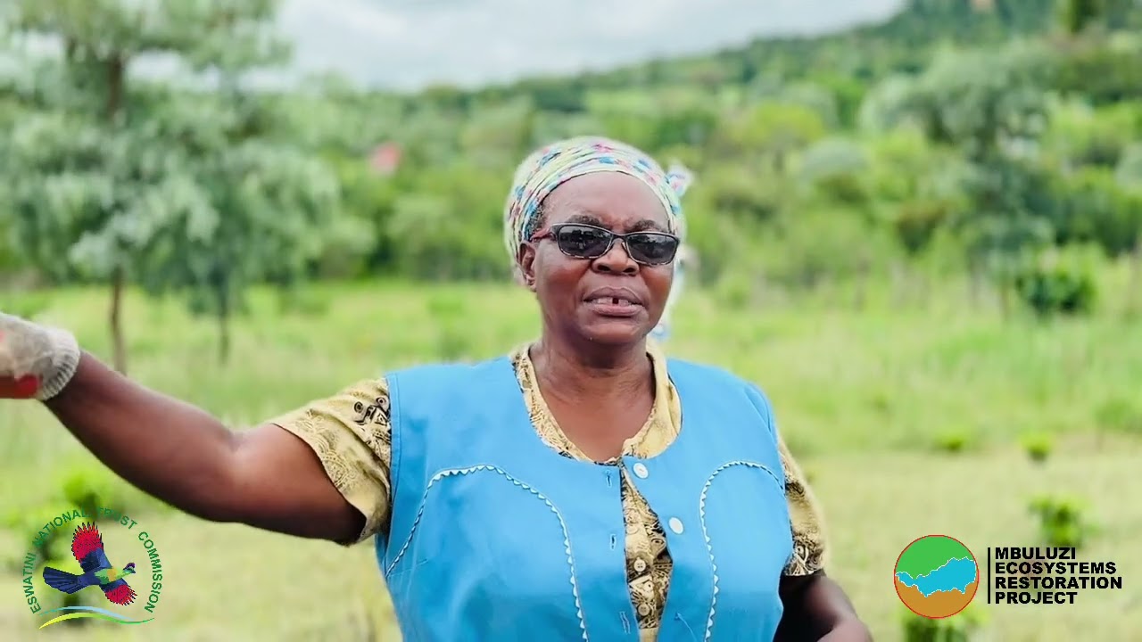 Lomahasha–Sigcaweni Learning Exchange | Community-Led Ecosystems Restoration in Action