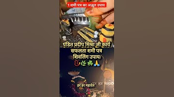 शमी पत्र का ये एक उपाय, हर काम में मिलेगी सफलता!| Pradeep Mishra Sehore Wale #youtubeshorts #shorts
