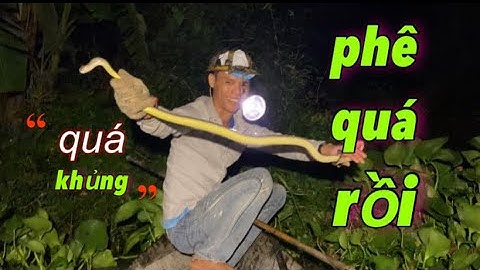 Bắt rắn đêm mùa nước lũ, được bữa trúng đậm bắt liên tục, Tập 1 | Miền quê Tiền Giang