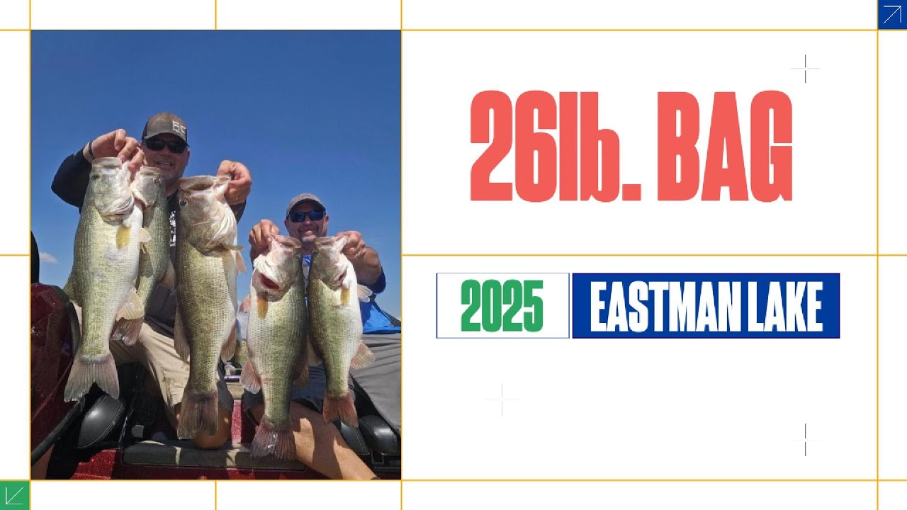 26 LB Bass Bag! 🎣 Giant 8.11 & 6.17 Back-to-Back | Fall Bass Fishing