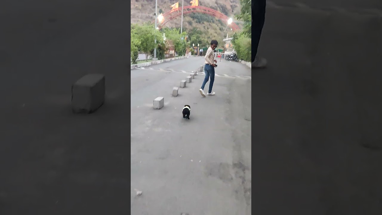 Chutuku se Bhagoo 😂 