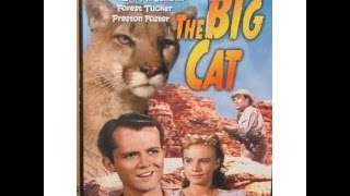The Big Cat 1949 film