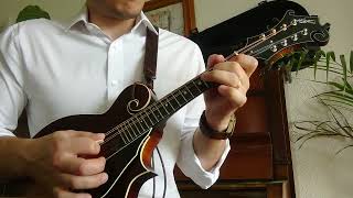 Old Home Place - Ricky Scaggs Mandolin Break (J.D. Crowe and The New South)