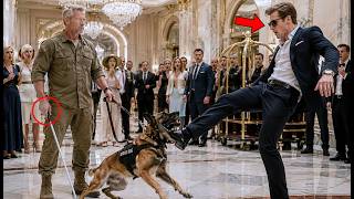 Arrogant Heirs Humiliated a Blind Veteran's Guide Dog—Unaware He Was an Elite Black Ops Sniper