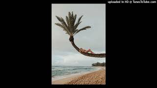 Boy In Space - Picking Flowers [Pakx Tropical Chill ReMix] (1)