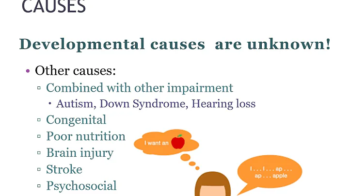 TED 494 Expressive Language Disorder