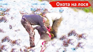 Охота на лося. Охотничьи приключения в Норвегии (Охотник и рыболов)