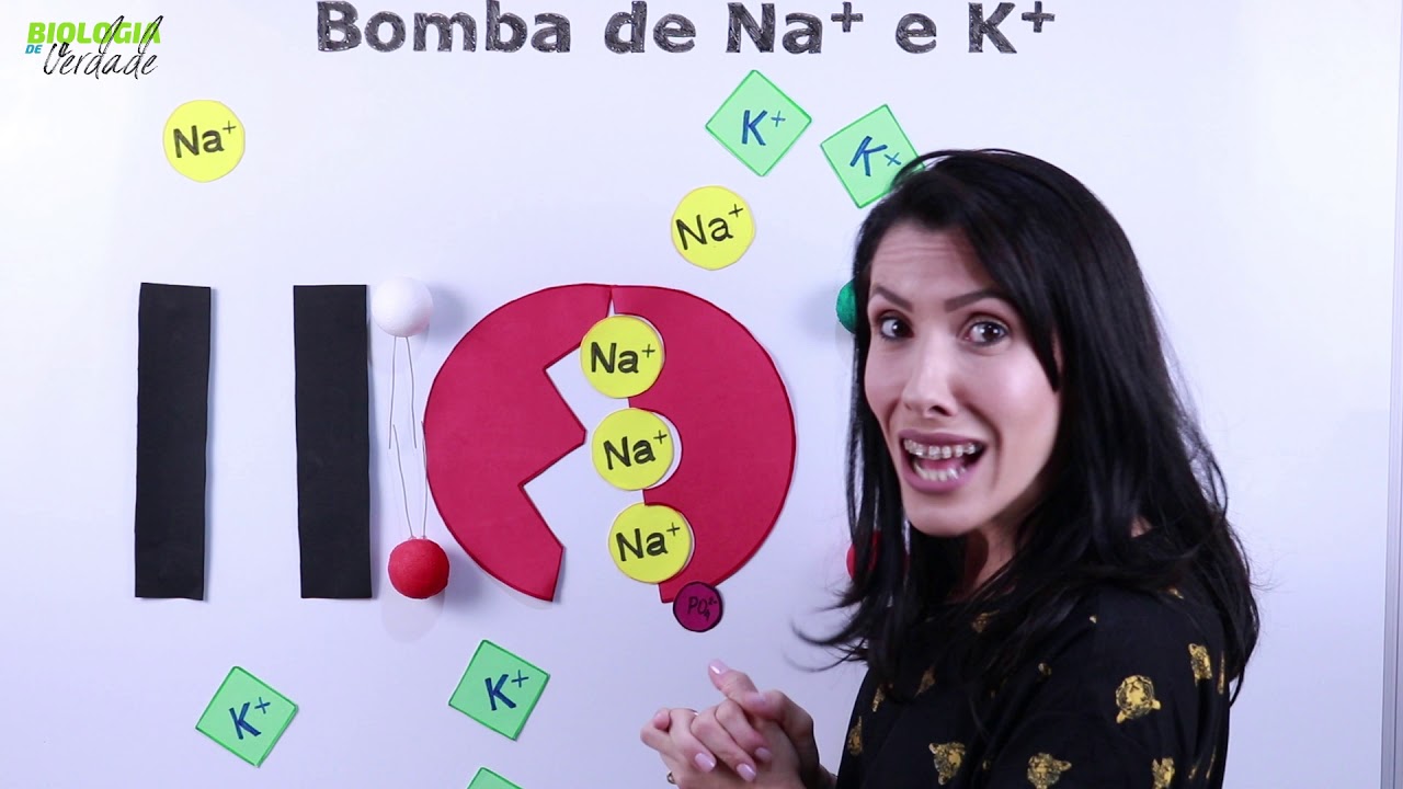 Bomba de Sódio e Potássio - PARTE 2