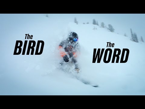Is this the BEST ski resort in Utah? -  Snowbird Powder Day 2024