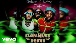 Shallipopi, Fireboy DML, Zlatan - Elon Musk (Remix) (Official Audio)