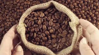 Coffe Short Promo screenshot 4