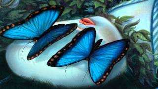 Los Amantes Mariposa - Madame Butterfly de Benjamín Lacombe