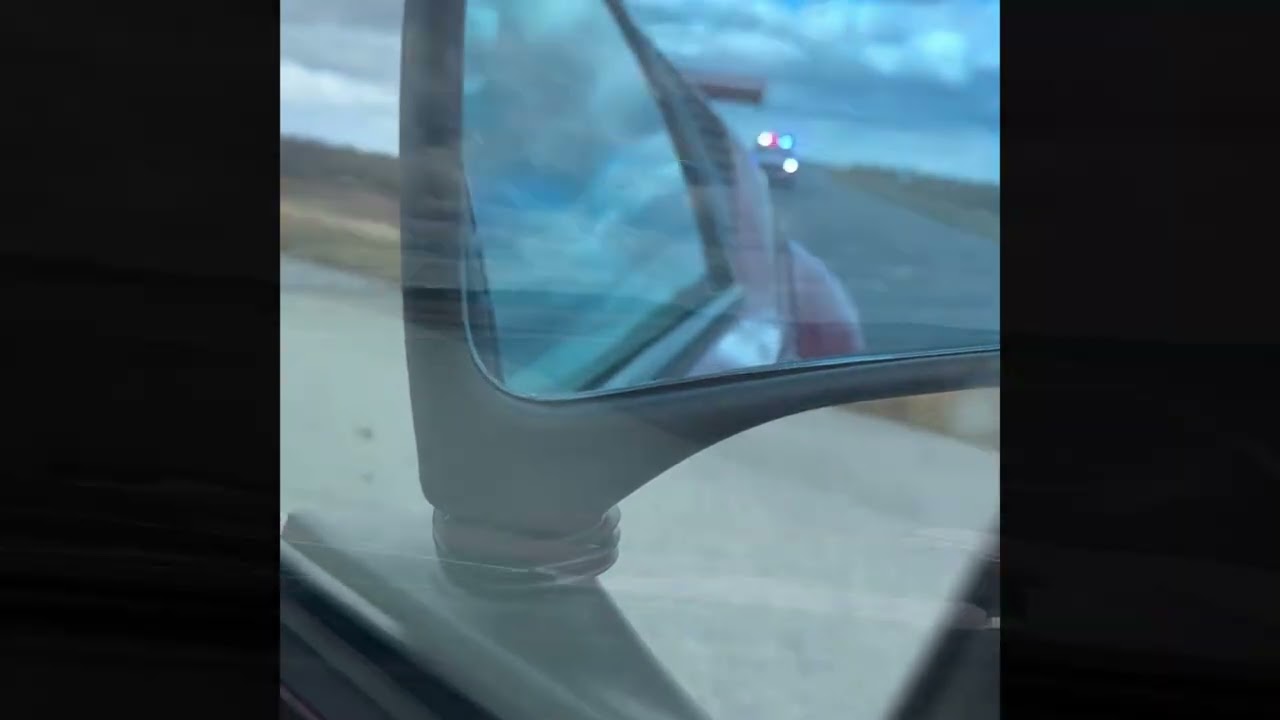 Zerby Pantera Pursuit 