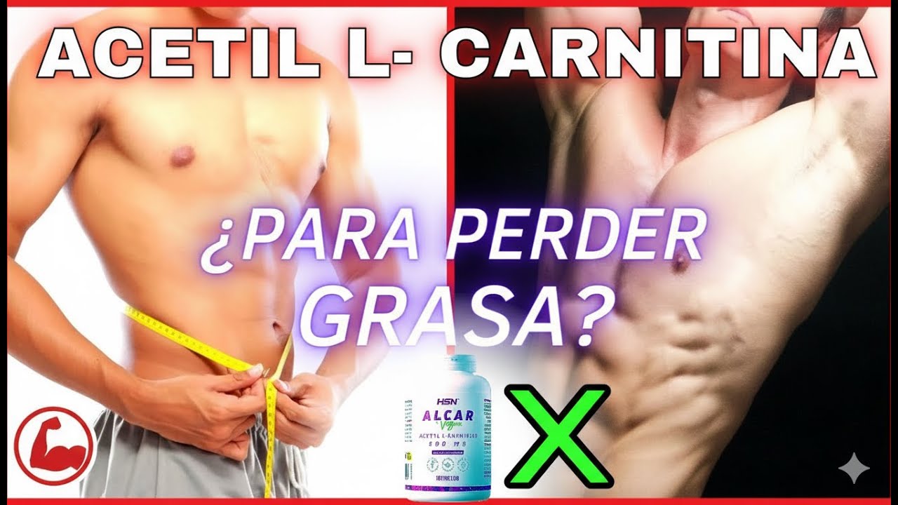 Acetil L Carnitina | suplemento para bajar la GRASA y perder peso ✓