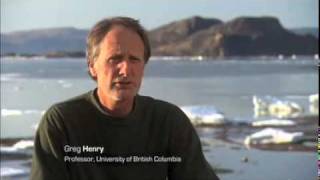 Arctic Tundra and Ecosystems Impacts