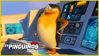 Cuartel general North Wind 💨 | DreamWorks Madagascar en Español Latino