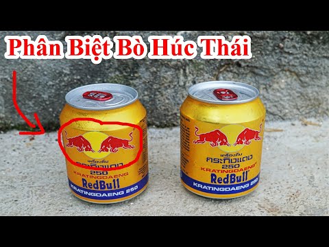 Cách Phân Biệt BÒ HÚC THÁI và BÒ Húc Thường Cực Hay/ Mẹo Nhận Biết Bò Húc Thật Giả Với Cách Đơn Giản 2023 Mới