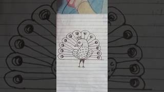Peacock Drawing 🦚 | #shorts