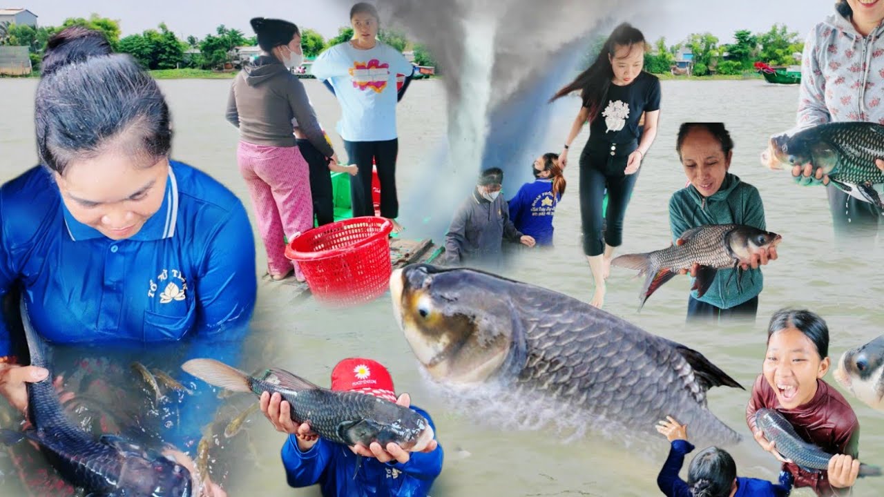 BẤT NGỜ đàn cá hô khủng về Sông Vàm Nao ùn ùn người xem
