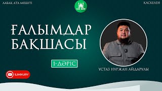 :   |1- |   