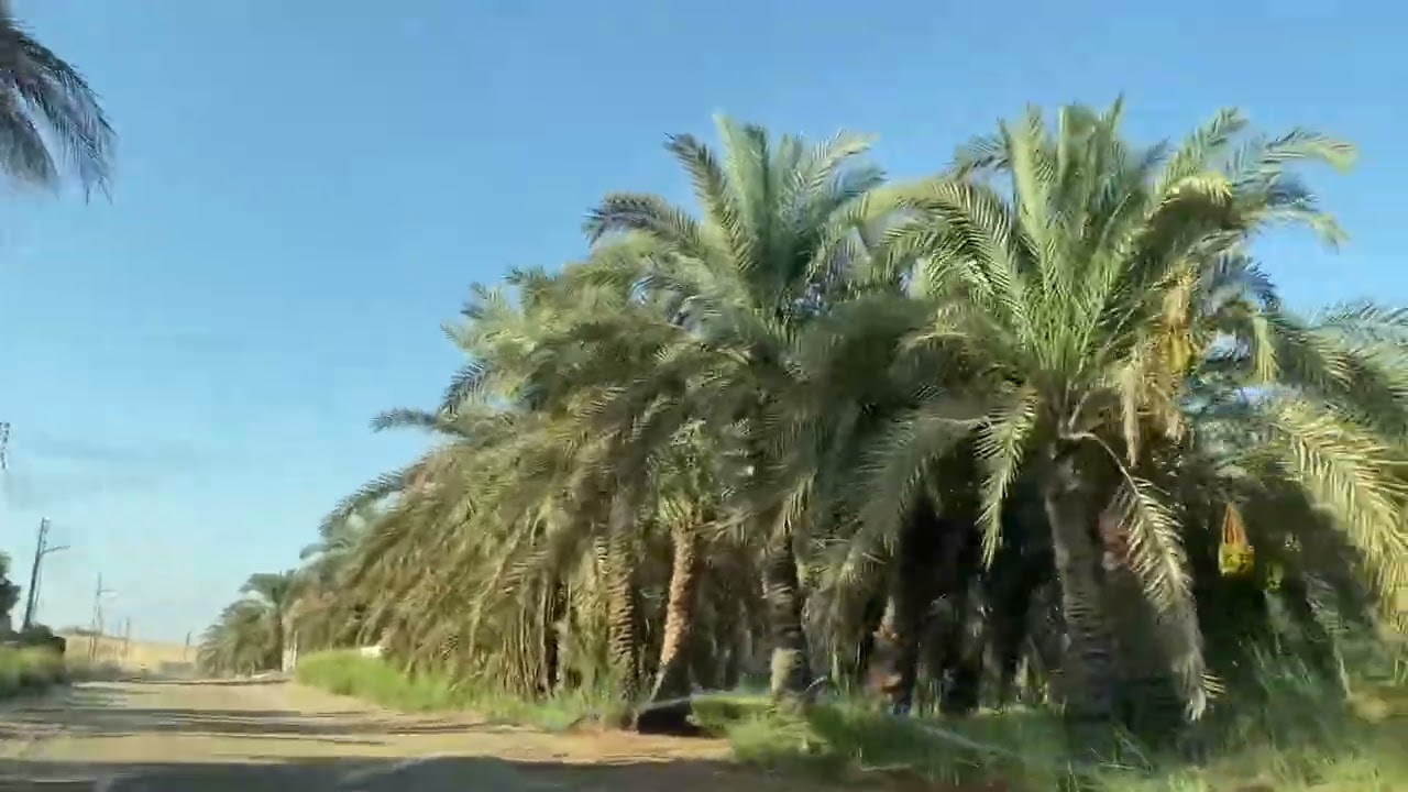 جوله في قرية الحاره الواحات البحرية 2023