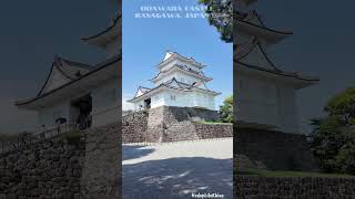 Walking Through History: The Serene Path to Odawara Castle 🏯✨