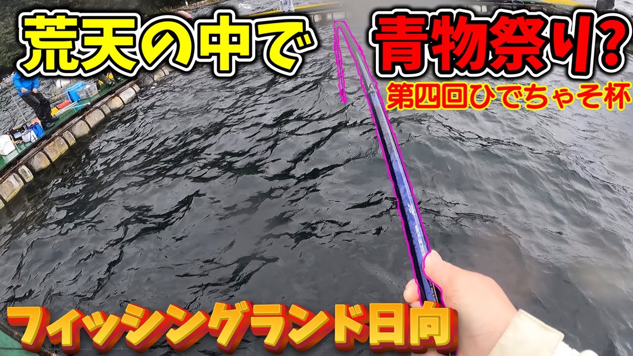 海上釣堀】2025/11/03 天候には恵まれなかったが〇〇には恵まれた