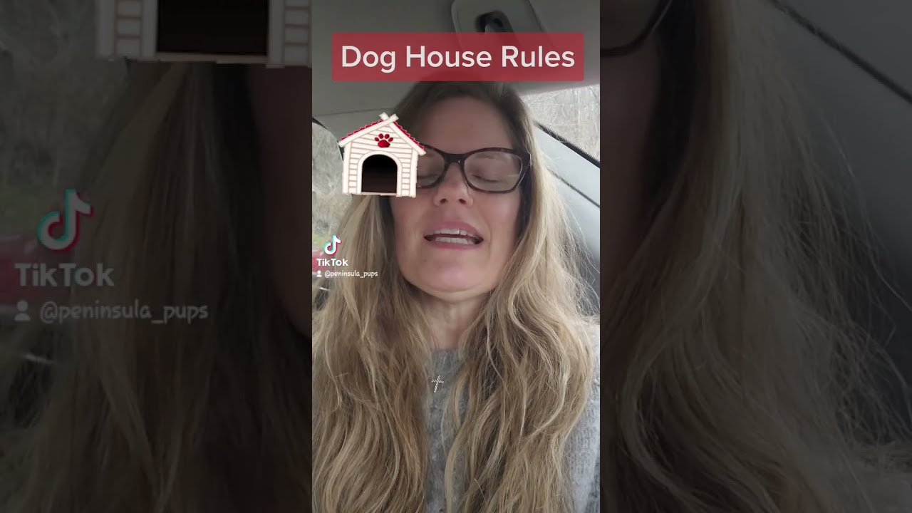 dog-house-rules-wait-at-the-door-youtube
